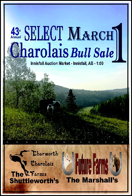 Final 2024 Select Charolais Bull Sale - Good Draft.pdf